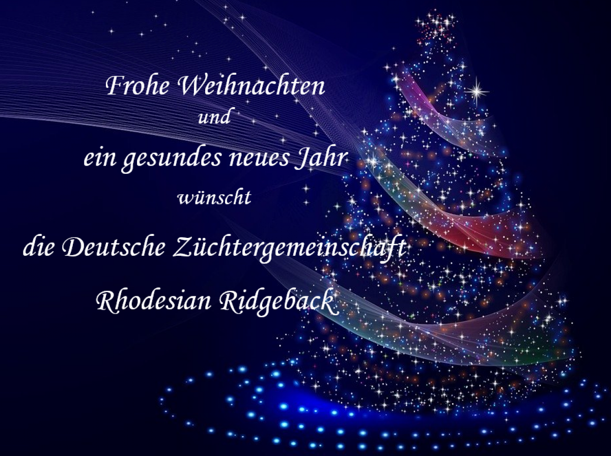 xmas-2928142_1280.jpg