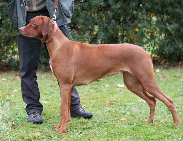 DANA OF THE COMPOSURE OF HUNTING