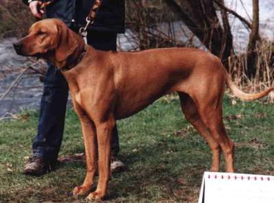 OKAHANDJA BO-CHEYENNE