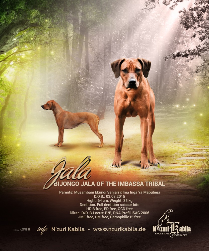 Bijongo Jala of the Imbassa Tribal