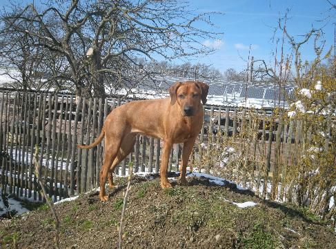 AISHA OF KIMBERLEY'S DIAMONDS