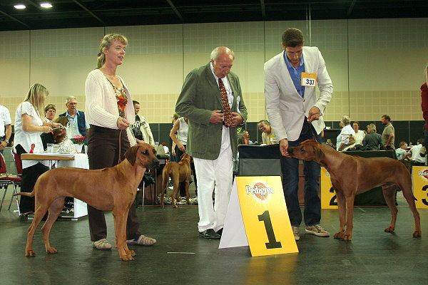 ZIMAZAA Chozi wa Simba