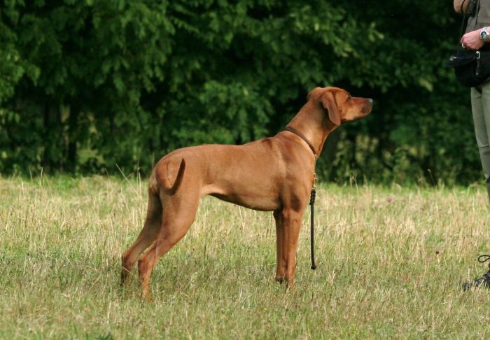 NGIKHONA A'Che Atieno