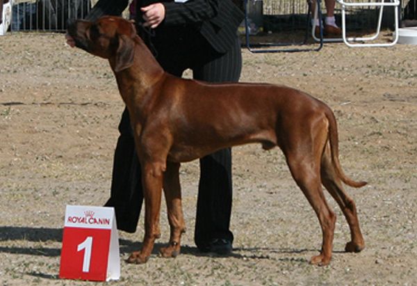 Chiwambo Baha de Kiungwana