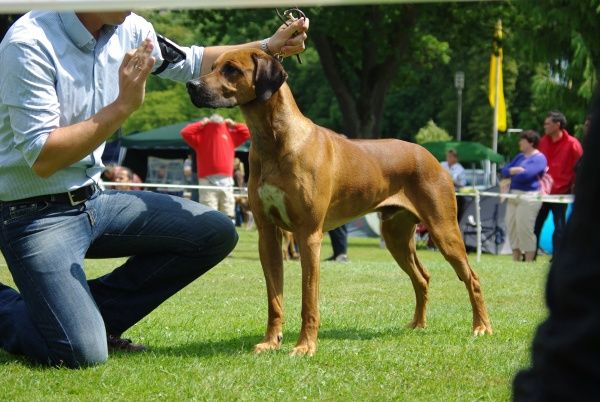 MERANGA GRANDE Chigani