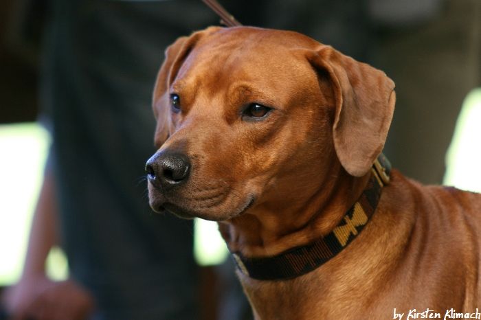 Dahoma Tom Etthewide †