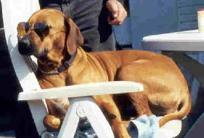 SANDAKANS ANA GRACE JEHLANI