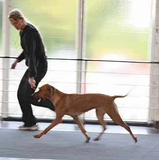 Beseni from TOMMY'S HOME