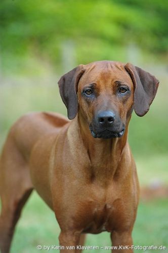 FANA ZULU Indira Gijima