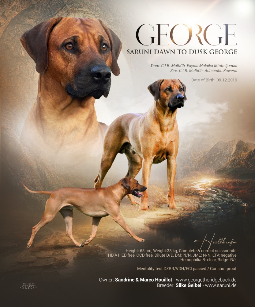 Saruni Dawn to Dusk George