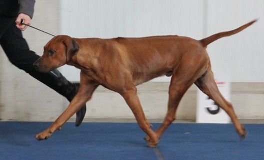 Ngikhona C'Atien Dayo