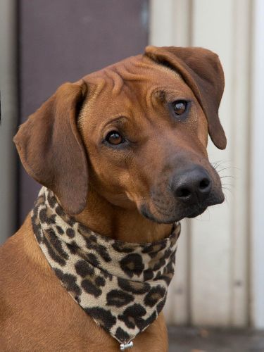 Anouk Chayo OF CHARLEEN'S COVENTRY