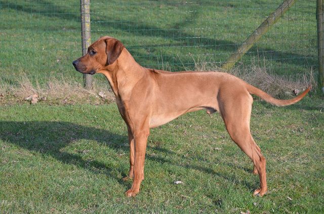 Gitonga Tom Ettewide