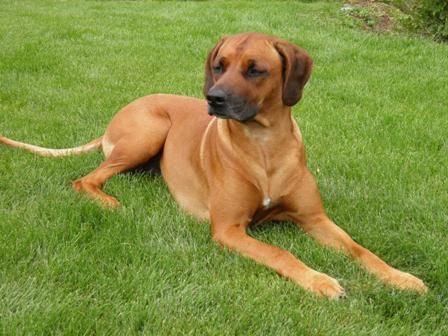 Basihma Malya ZUR LIESBERGMÜHLE