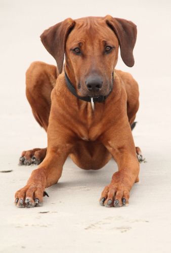 ZimaZaa Endekeza Taka