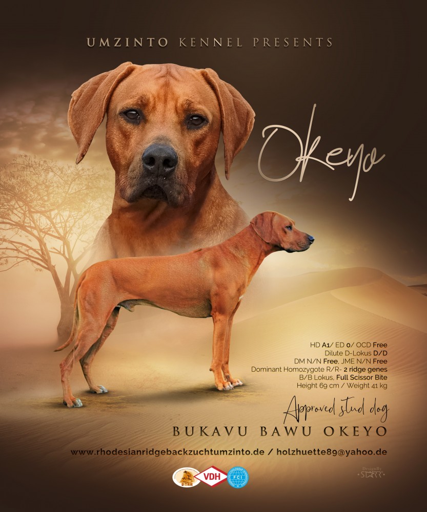 Bukavu-Bawu Okeyo