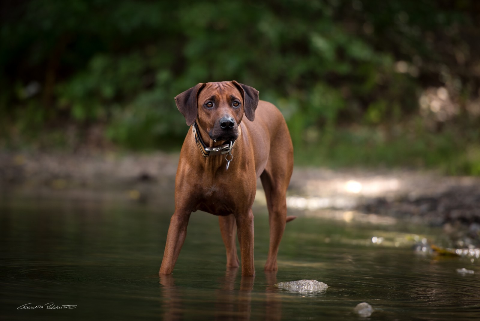 Djamila Kavango River