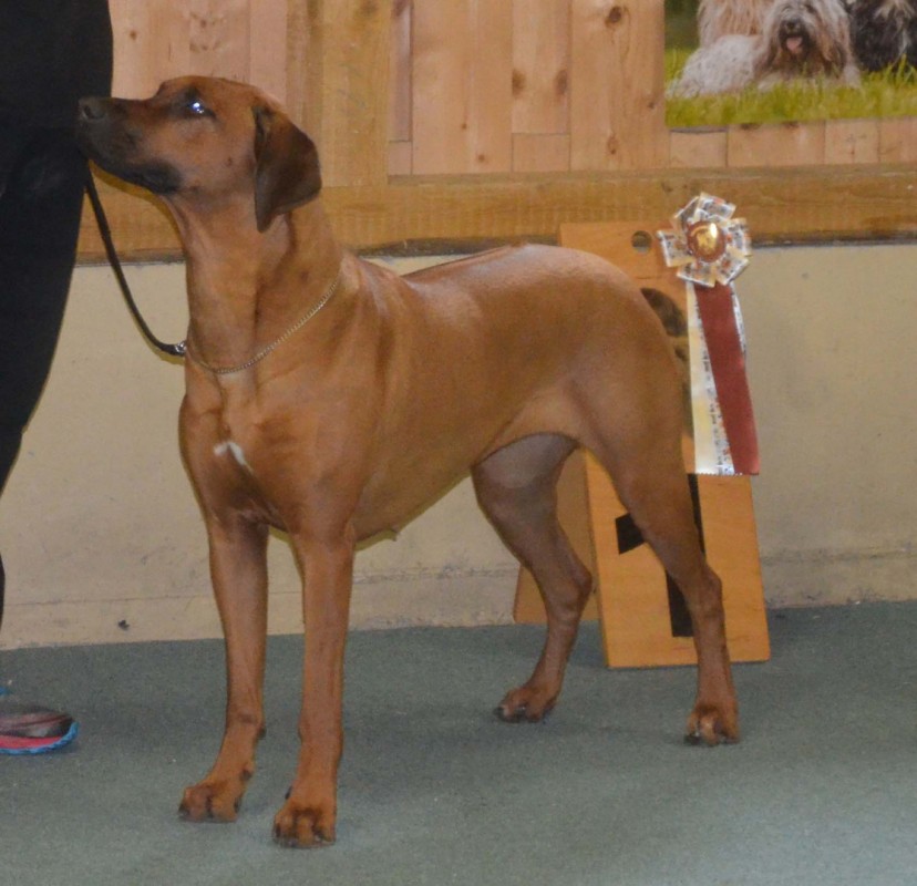 Bijongo Etiro´s Linyanti of the Imbassa Tribal