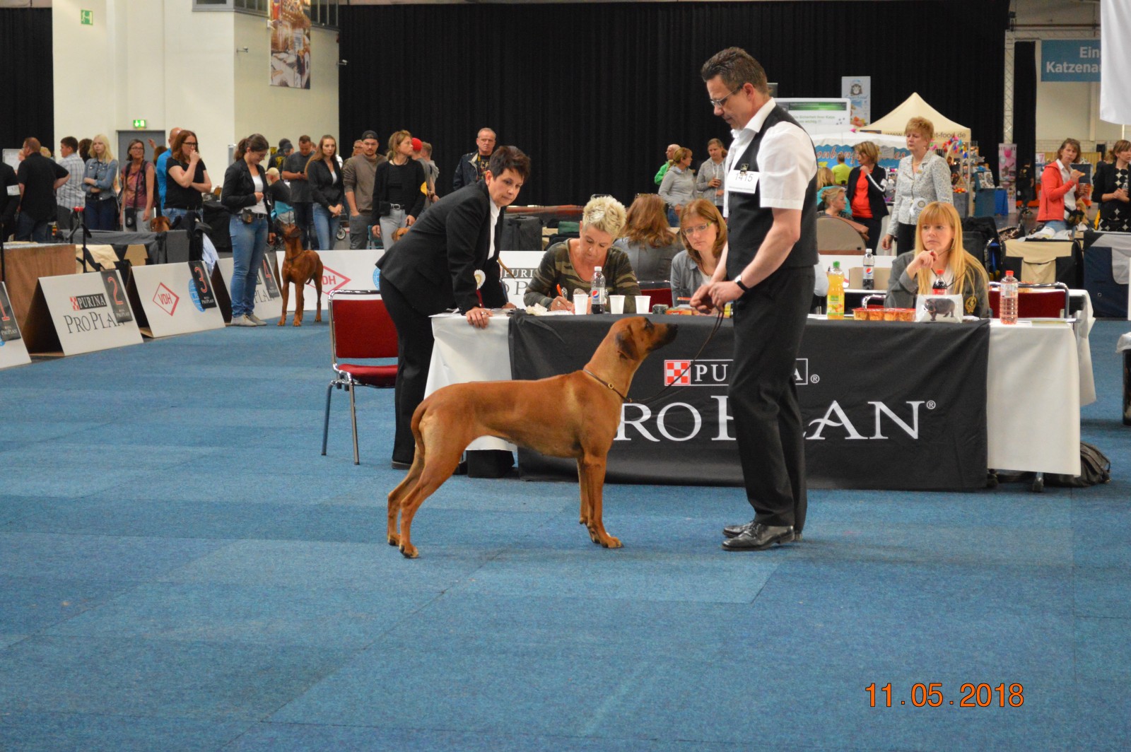 Ayala van Slangs Beek