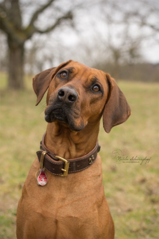 Fanela Kenya MALAIKA MTOTO IJUMAA