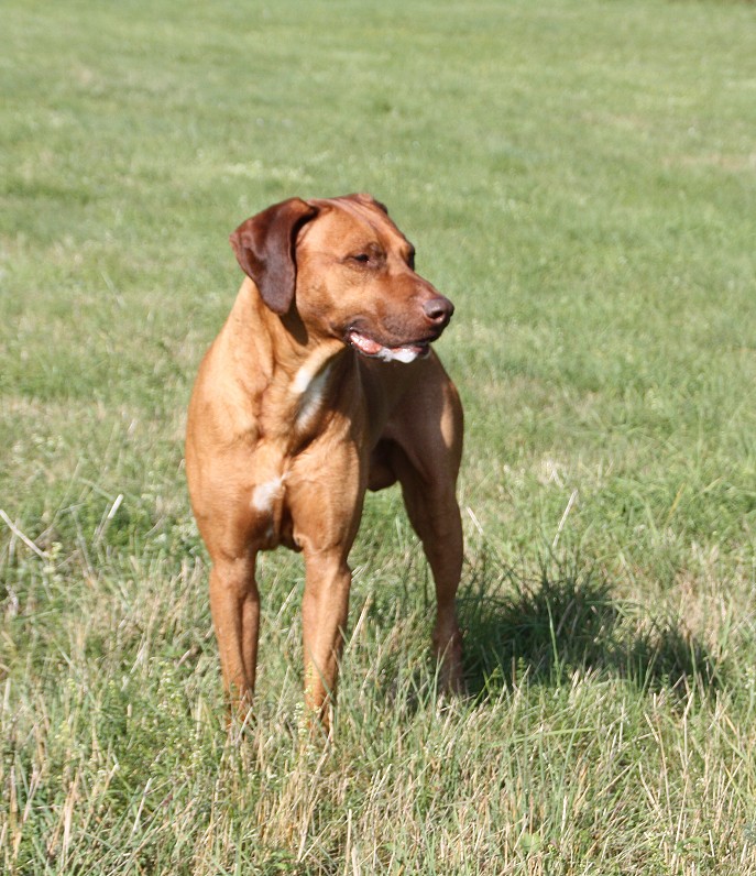 Eko from Tommys Home