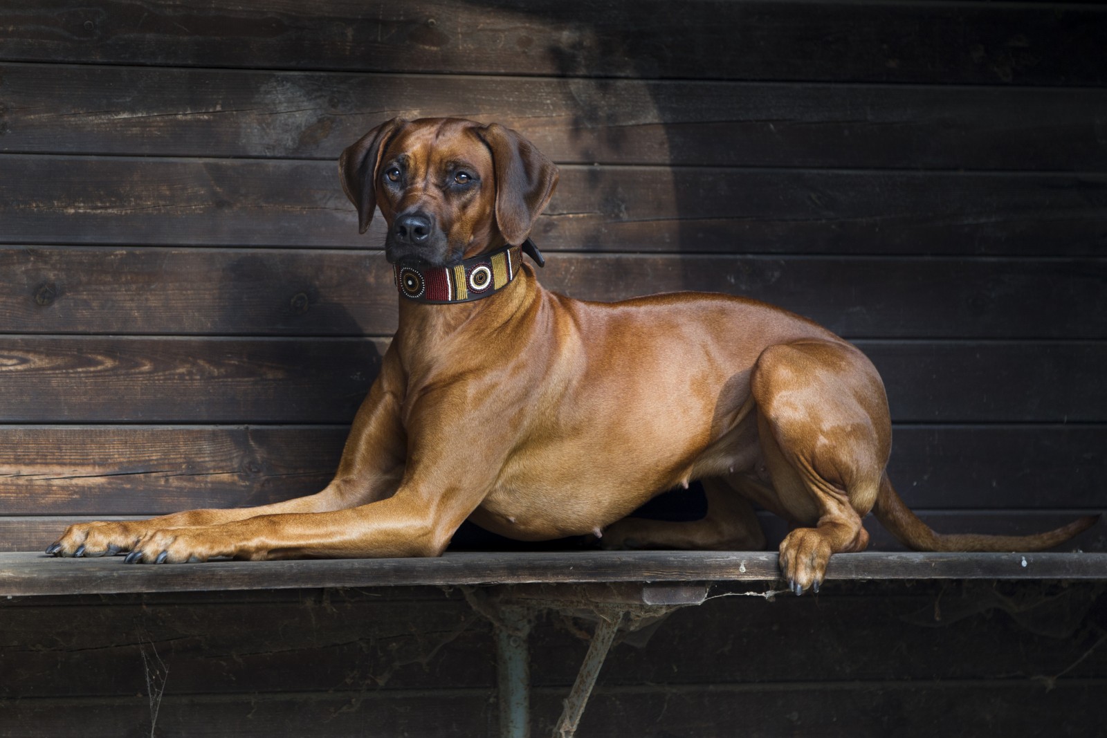 Mooi River Fanela Flitsie