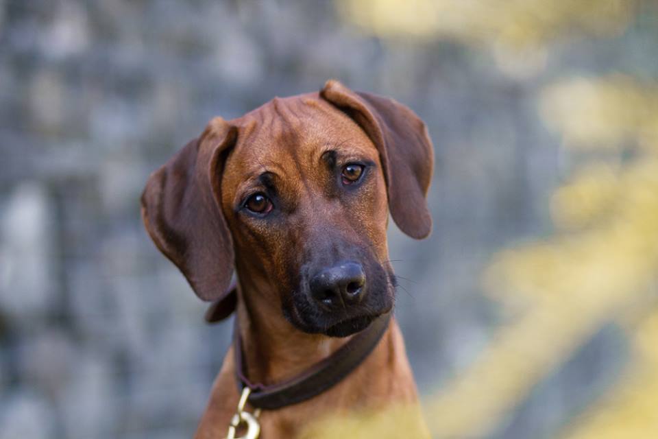 Sinikiwe Adhiambo Avondale Jumanji Frieda