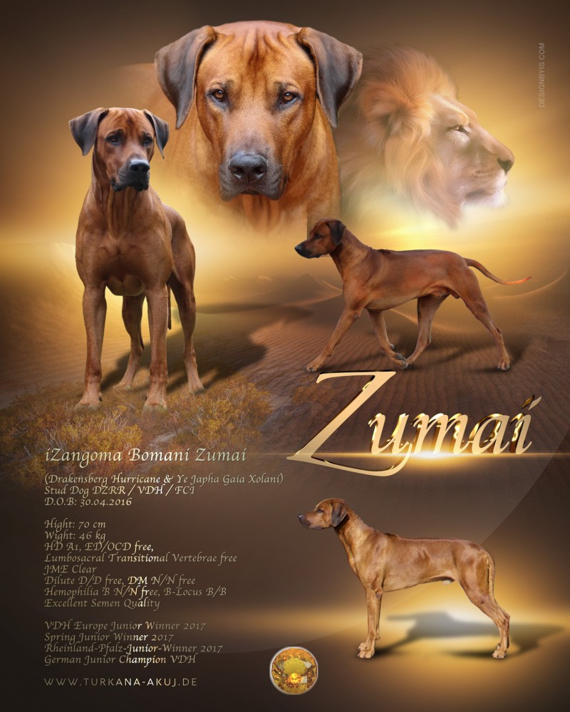 iZangoma Bomani Zumai