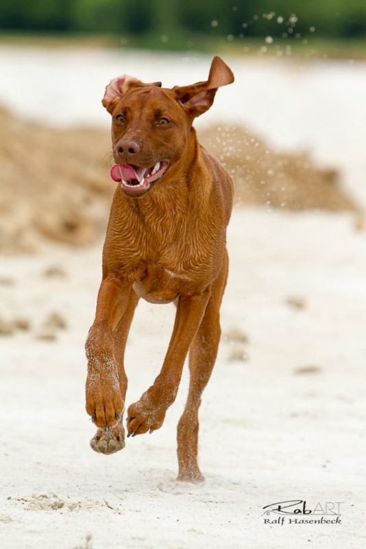 Sinikiwe Adhiambo Avondale Zola