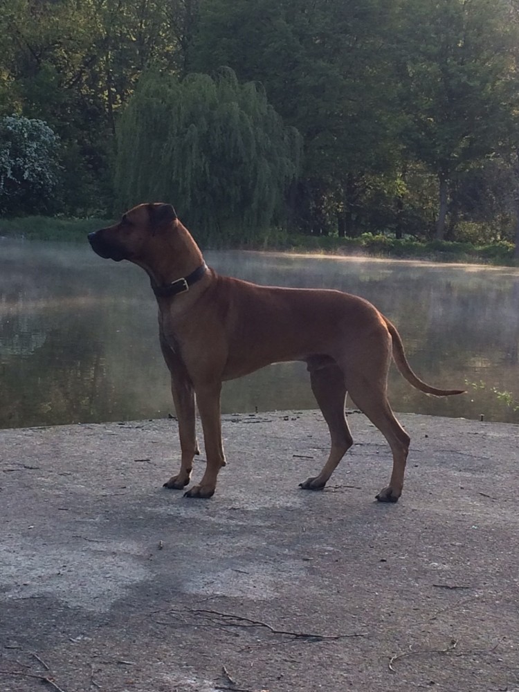 Ghanimo Banjoko von der Cherry-Farm