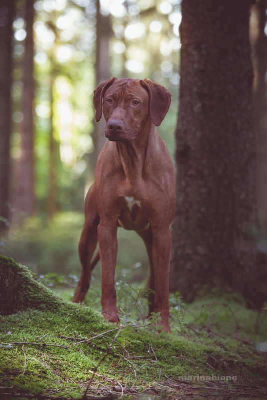 Chipo Chawini of Charleen's Coventry