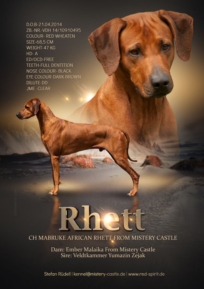 Mabruke African Rhett from Mistery Castle