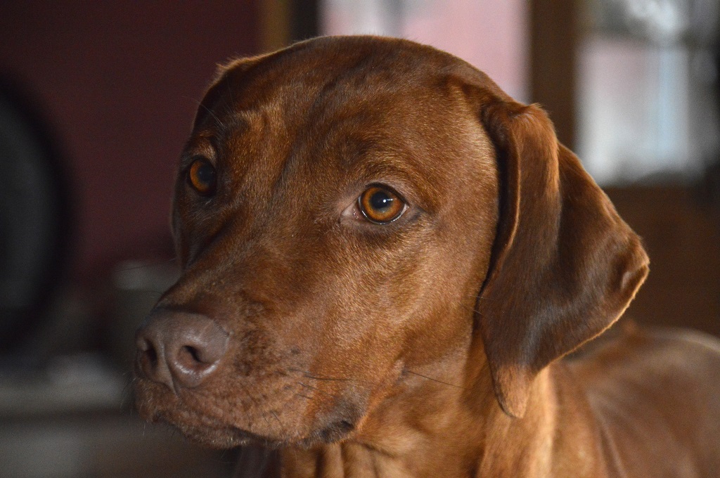 Tashun Believes in Kajsa