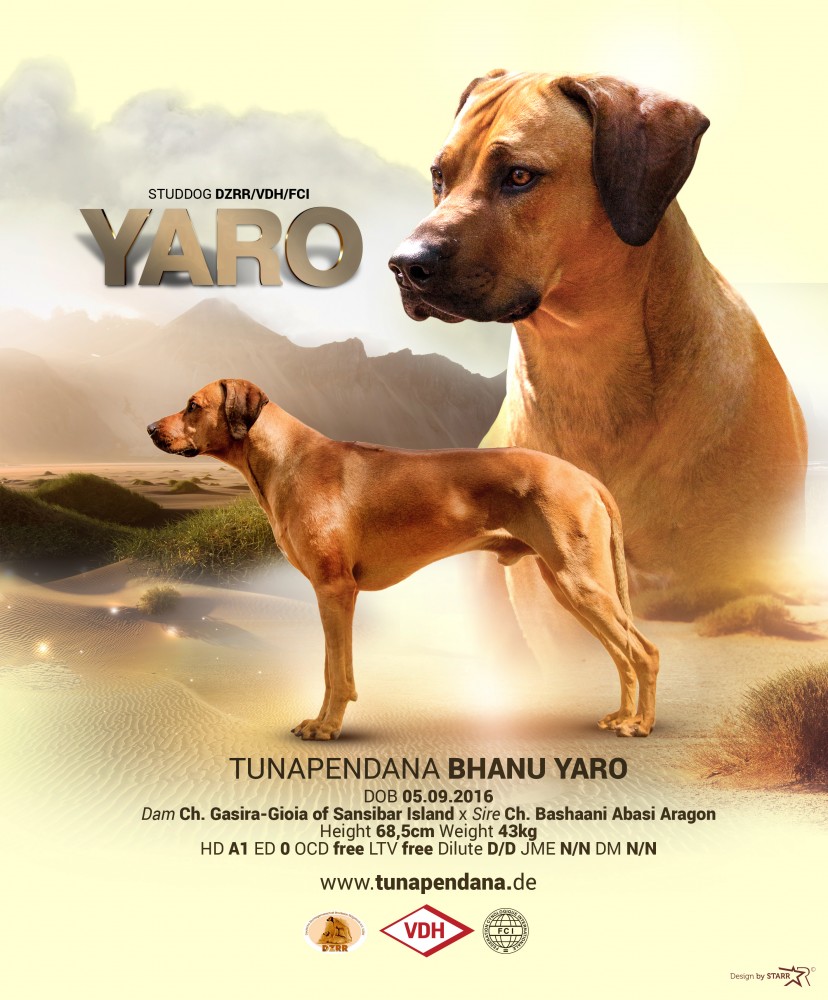 Tunapendana Bhanu Yaro