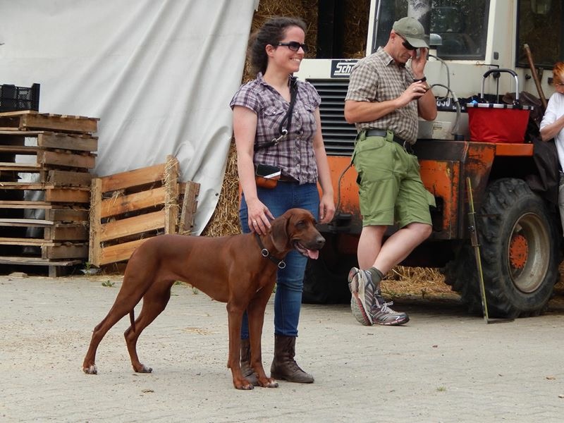 of Golden Gate Highlands Aurra