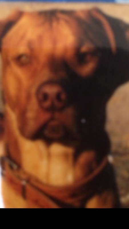 VINJARI TOM ETTHEWIDE