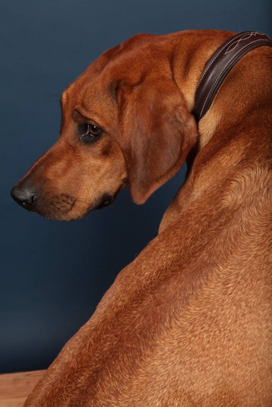 SHANGANI Ijaba Isoke Isabis