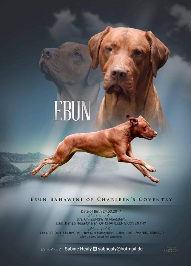 Ebun Bahawini of Charleen's Coventry