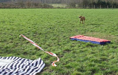 Spielen nach dem Parcours Spielen nach dem Parcours