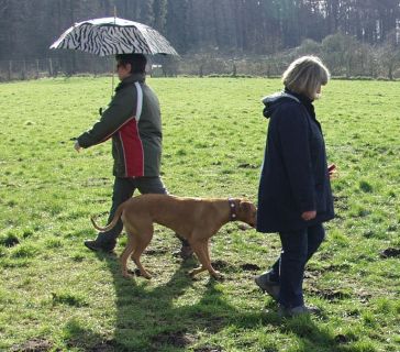 Aufspannen eines Regenschirmes Bild zum Aufspannen eines Regenschirmes