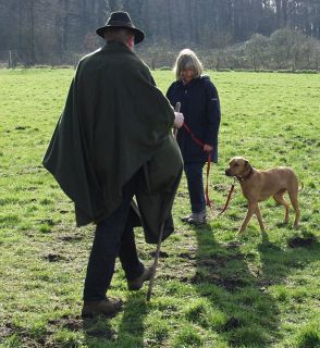 Fremde Person Bild zu: fremde Testperson passiert den Hund