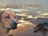 Bild vom Kennel Kizazi Farida